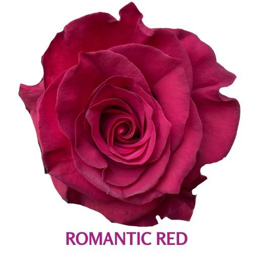 Romantic Red