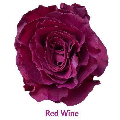 Red Wine