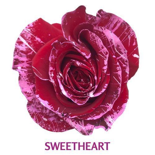 Sweetheart