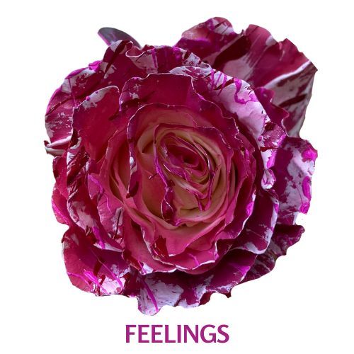 Feelings