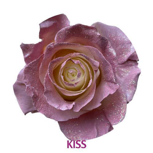 Kiss